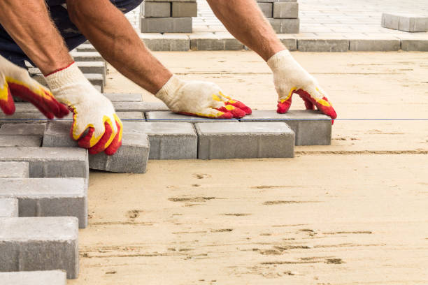 Best Local Driveway Pavers  in Stockton University, NJ