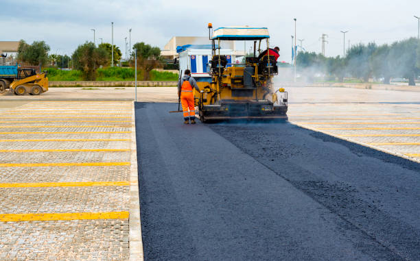 Best Driveway Pavers Near Me  in Stockton University, NJ