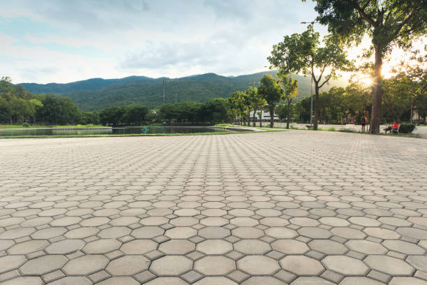 Best Best Driveway Pavers  in Stockton University, NJ
